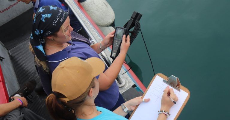 Expert crew guides you through every step of your shark diving adventure.