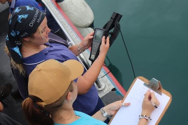 Expert crew guides you through every step of your shark diving adventure.
