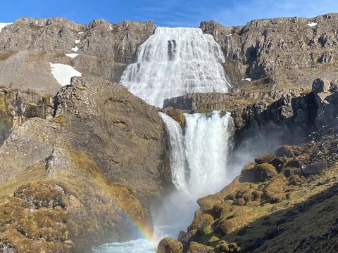  Isafjordur and Westfjords Private Tour