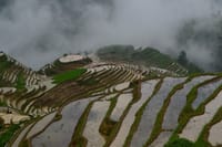 Longji Rice Terraces
