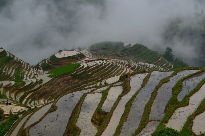 Longji Rice Terraces