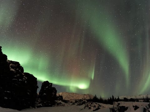 Forest Lagoon and Northern Lights Guided Night Tour , photo 4