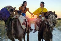 Camel Tours at Sunset