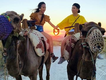 Camel Tours at Sunset
