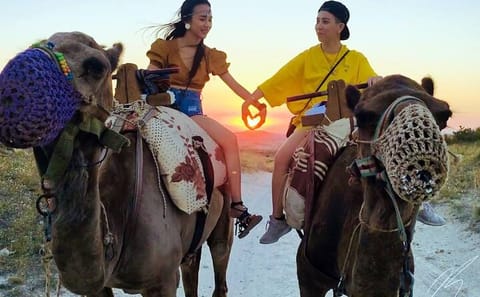 Camel Ride Through Göreme's Fairy Chimneys in Cappadocia
