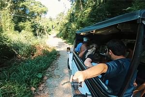 From Paraty: 4x4 jeep adventure visiting waterfalls & distilleries