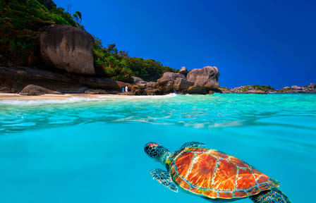 Surin Islands by Speedboat from Khao Lak