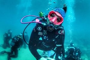 Scuba Diving Tour With Lunch in Alanya