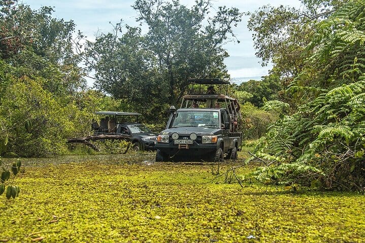 Minneriya National Park Safari from Anuradhapura 7