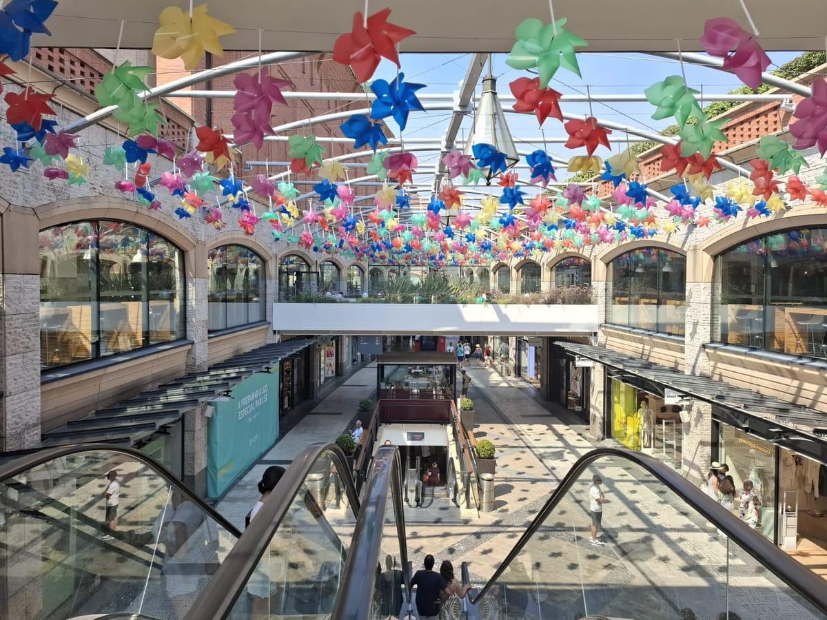 AVEIRO & COSTA NOVA: Full-Day Private Tour from Porto