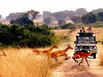 Full-Day African Safari Adventure in Kampala, Uganda