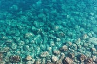 Full day Capri small group with grottos 7