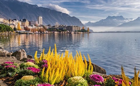 Winter Walking Tour of Geneva with Christmas Market Visit