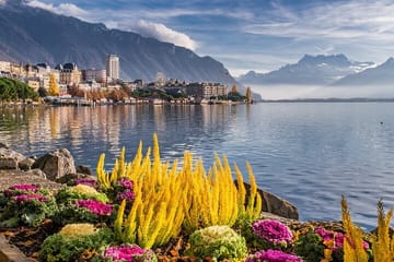 Winter Walking Tour of Geneva with Christmas Market Visit