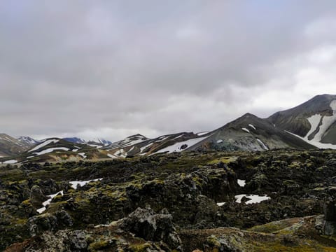 Landmannalaugar Rainbow Mountains 4x4 Tour - Valley of Tears, photo 18