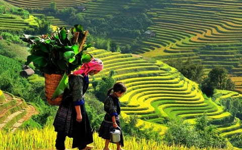 5-Day Sapa and Halong Bay Adventure from Hanoi