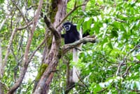 Arusha National Park Day tour  8
