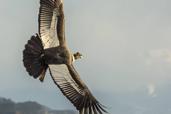 4-Day Atacama Desert Experience with Hotel, Tours & Meals