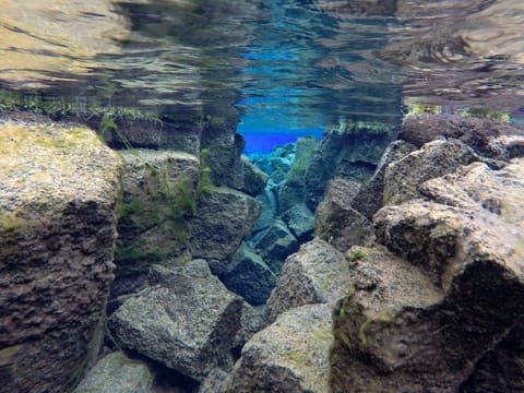 Silfra night freedive tour, photo 5
