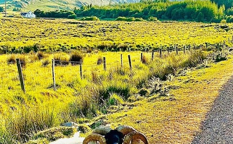 E-Bike Tour from Westport to Achill Island, Ireland