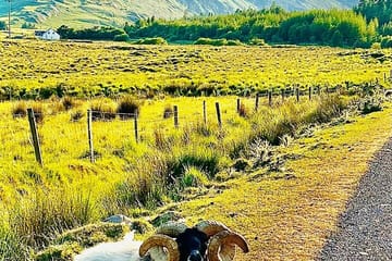 E-Bike Tour from Westport to Achill Island, Ireland