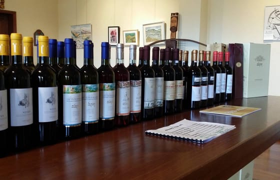 Wine road of Macedonia, Greece