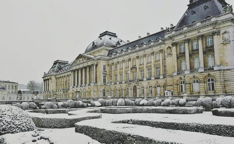 Brussels 5-Hour Cultural Day Tour with Private Transport