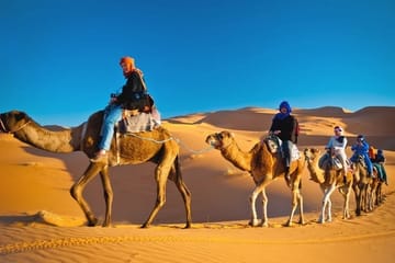 Dubai Frame Visit and Desert Safari with BBQ Dinner