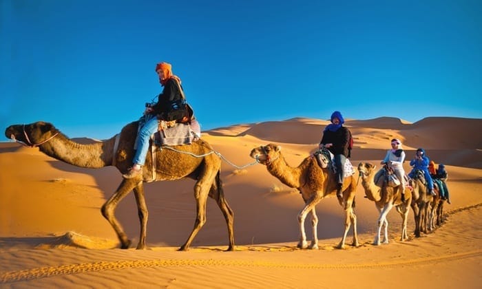 Dubai Frame tour & Desert Safari with BBQ Dinner with transfers 3