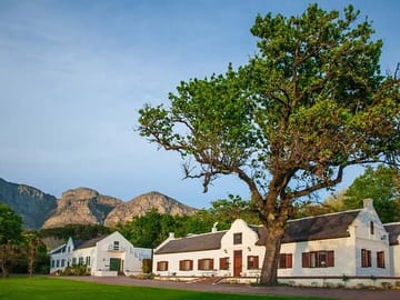 Franschhoek Wine and Culinary Tour from Cape Town