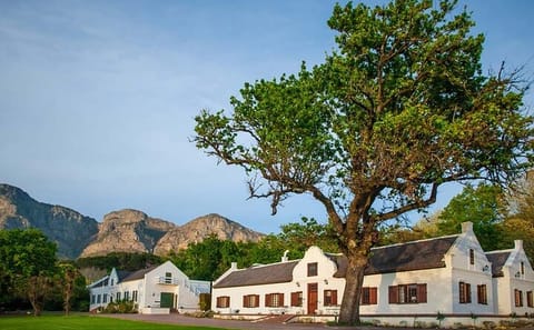 Franschhoek Wine and Culinary Tour from Cape Town