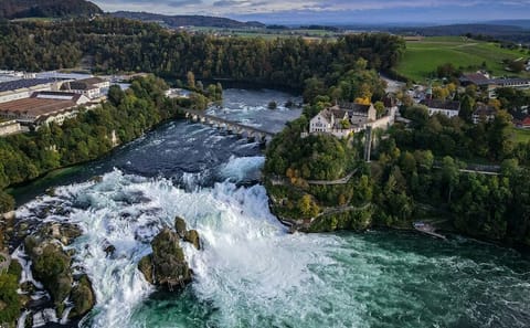 Rhine Falls and Stein am Rhein Day Tour from Zurich