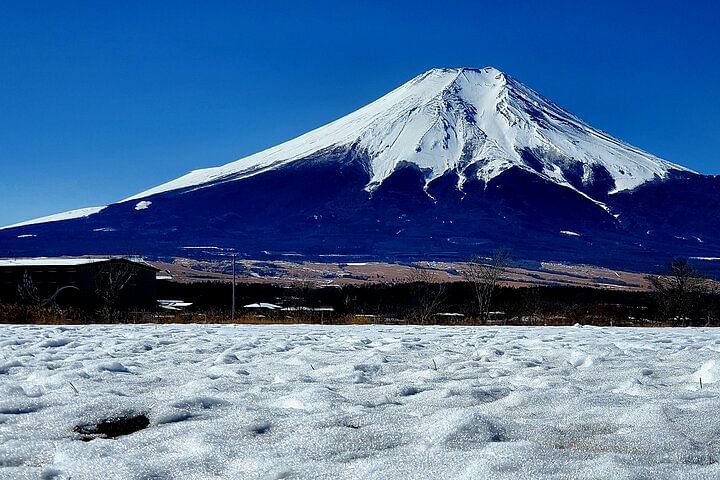 2 Days Private Tour: Tokyo / Mt Fuji and Hakone