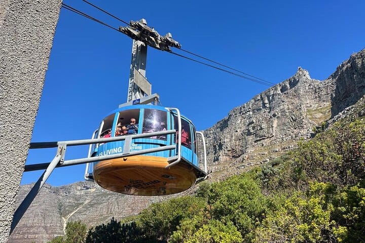 Full-Day Cape of Good Hope and Table Mountain with Penguins Tour