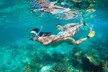 Khao Lak : Surin Islands Snorkeling Day Trip with Lunch