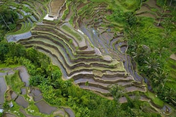 Ubud White Water Rafting and Rice Terrace Adventure