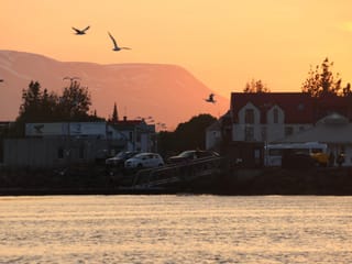 Akureyri Express Whales in the Midnight Sun, photo 12