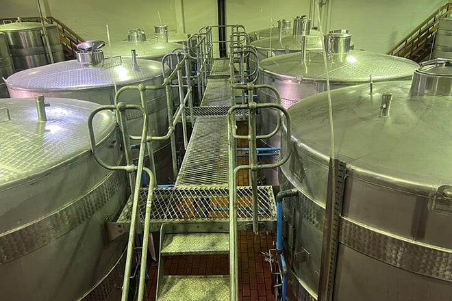Full Day Wine Tasting Tour in Stellenbosch, and, paarl  - Photo 4