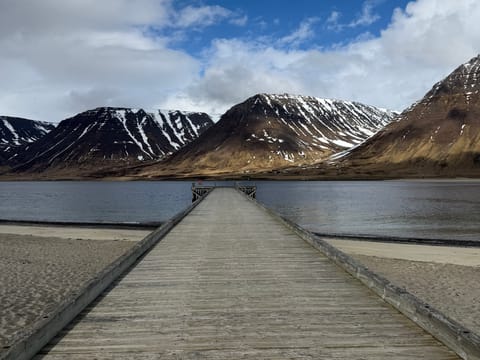 Isafjordur and Westfjords Private Tour, photo 5