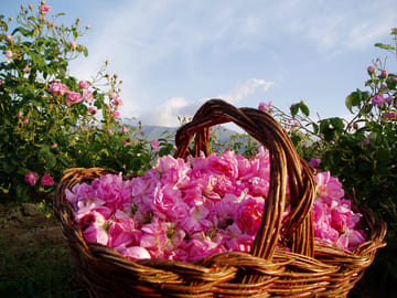 Private Day Tour of Kazanlak's Rose Valley and Museum