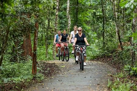 Private Angkor Wat Bike Tour: Explore Temples & Hidden Gems in Siem Reap