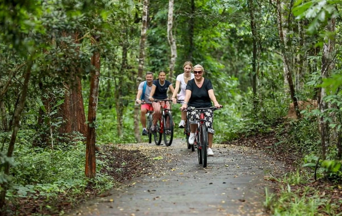 Angkor Jungle Biking Adventure Private Cycling Tour