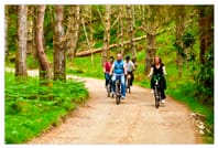 Electric biking the Great Western green way. Mayo. Self-guided.  2