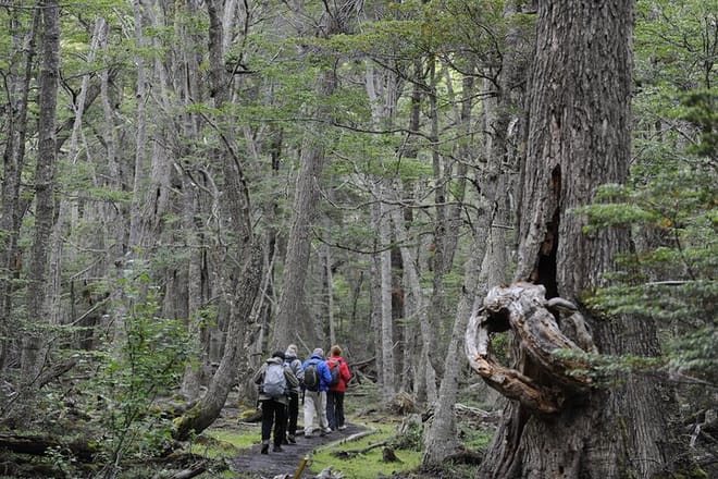 Half-Day Small-Group Tierra del Fuego National Park Tour from Ushuaia photo 6