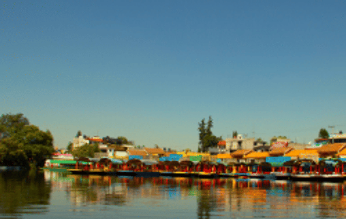 Xochimilco Boat Ride and UNAM University Tour in Mexico City