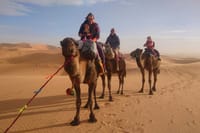 7 days tour from Casablanca to Sahara via Chefchaouen