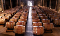 Wine tasting tour 3