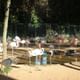 Bird Park
