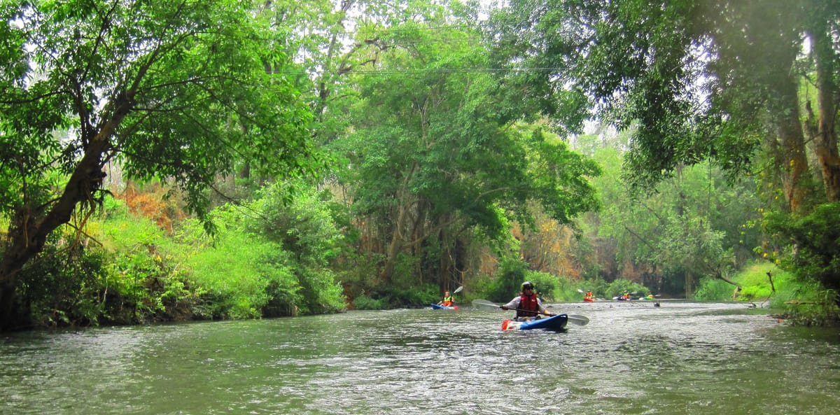 Chiang mai Suthep National Park Leisure Hiking & Mountain Biking