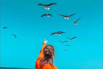 Full-Day Snorkeling and Adventure Tour to Orange Bay, Hurghada